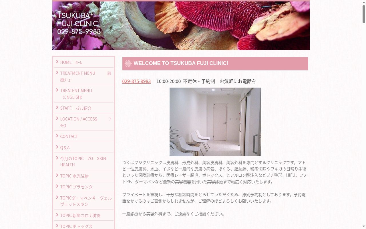 つくばフジクリニックの公式サイトのスクリーンショット