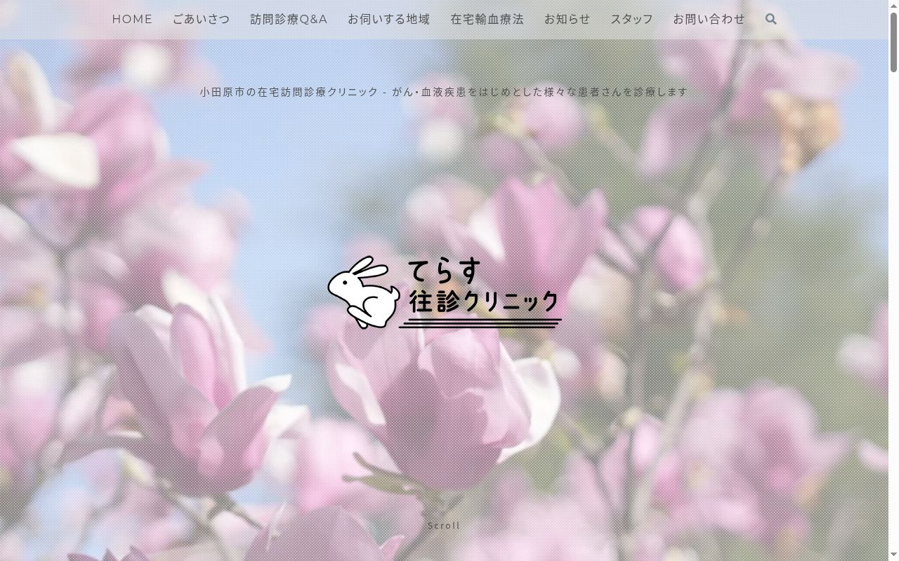てらす往診クリニックの公式サイトのスクリーンショット