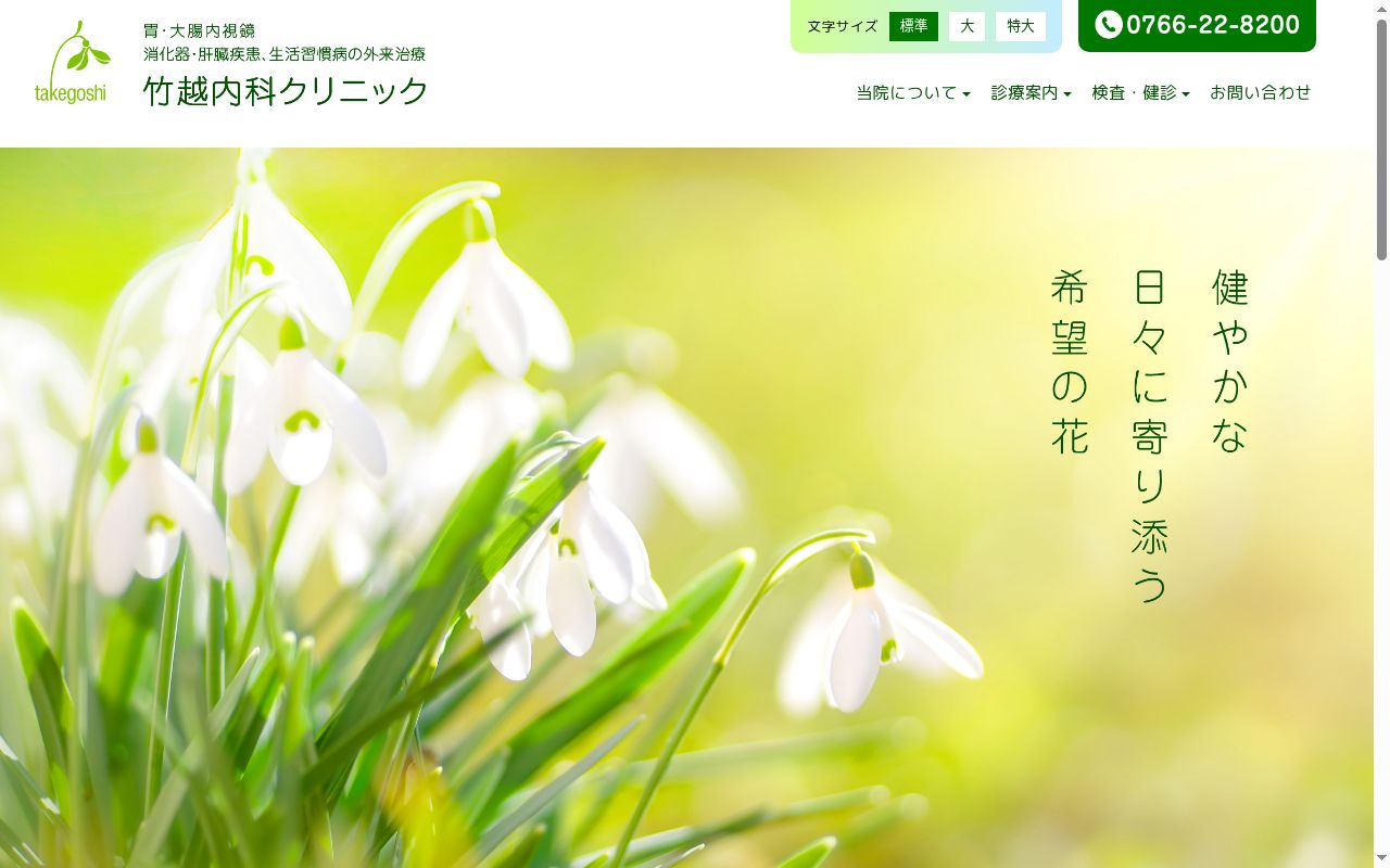 竹越内科クリニックの公式サイトのスクリーンショット